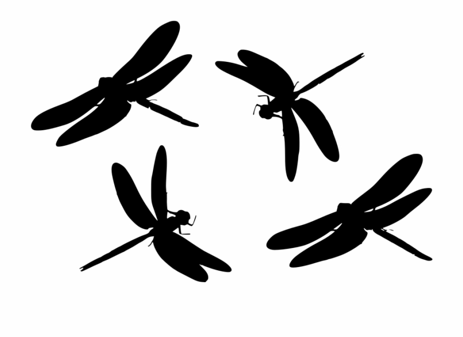 Download Png Dragonfly