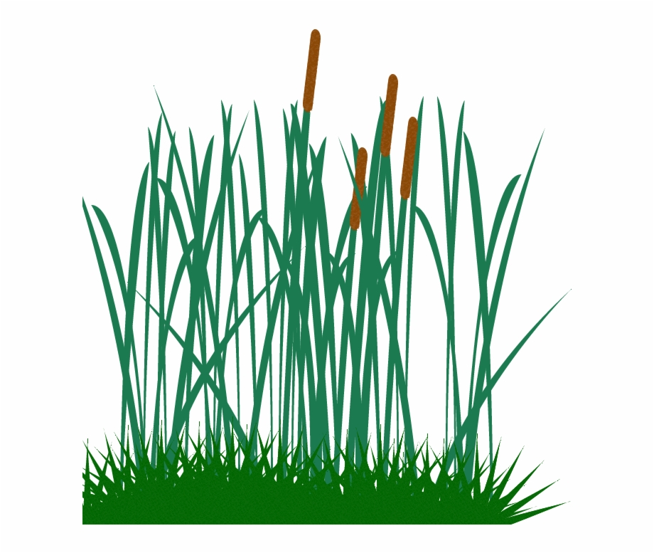 Tall Grass Clip Long Grass Vector Png