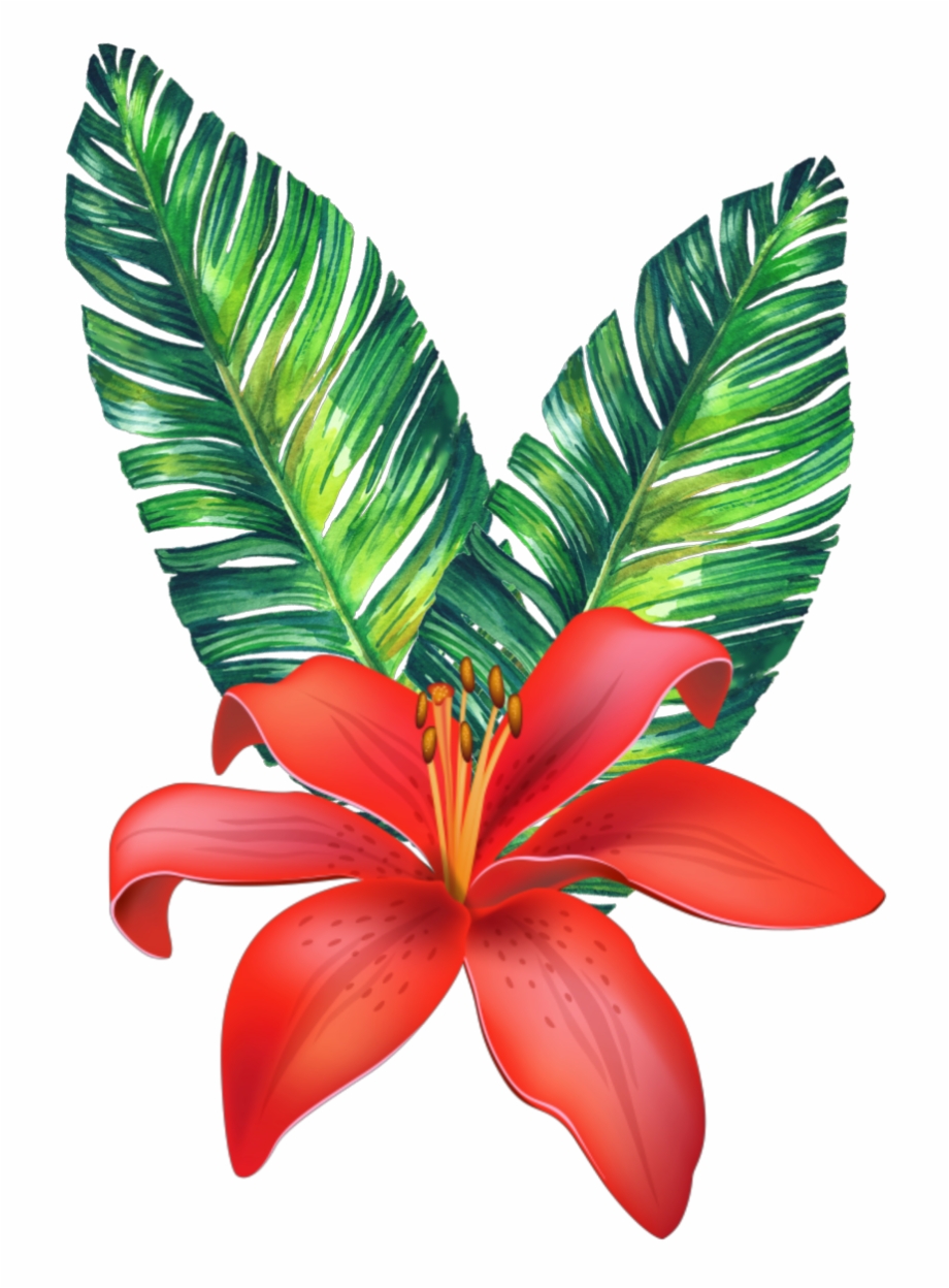 Flower Tropical Freetoedit Tropical Flower Stickers Png
