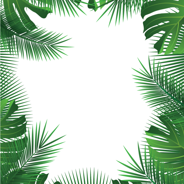 Palm Leaves Frame Png