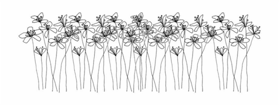 Transparent Black And White Floral Doodles