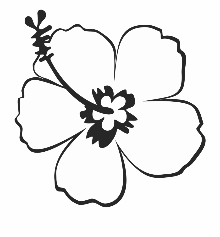 hibiscus flower clipart black and white
