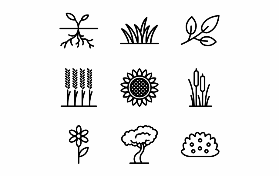 Plants And Flowers Plants Png Black And White