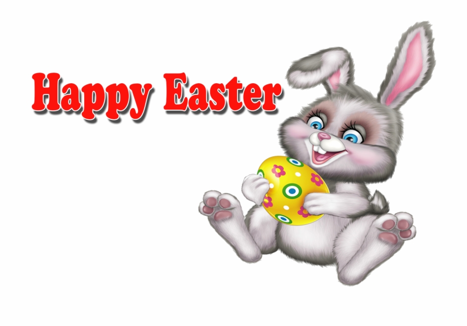 Easter Bunny Transparent Backgrounds