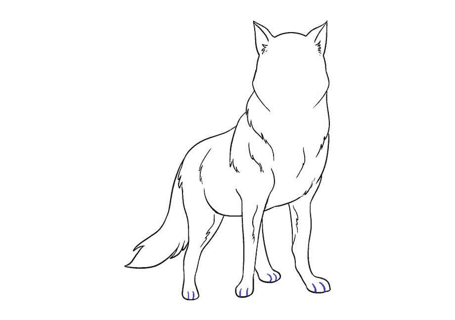 Drawn Wolfman Wolfs Head Sitting Wolf Drawing Png