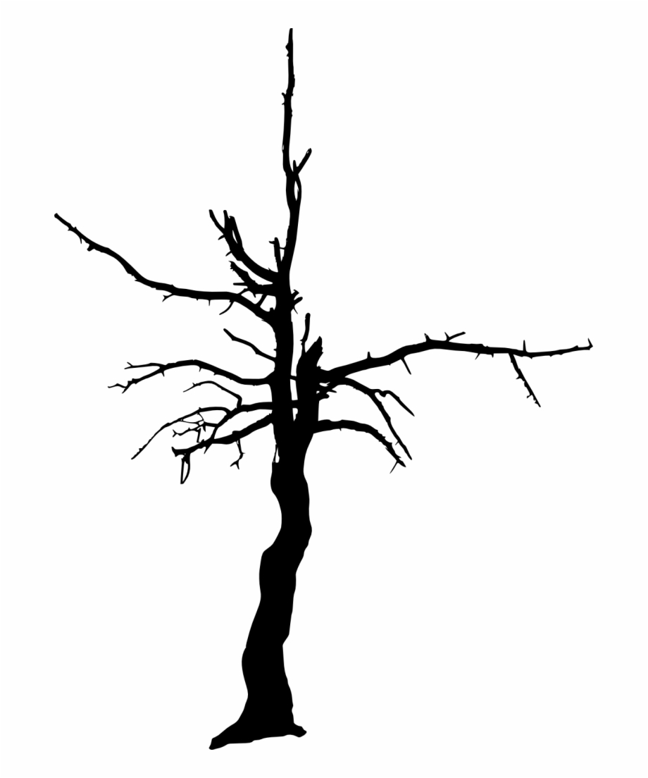 Png File Size Dead Tree Silhouette Png