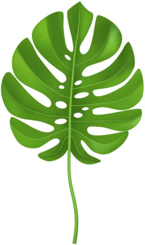 Download Png Clip Art Palm Leaf