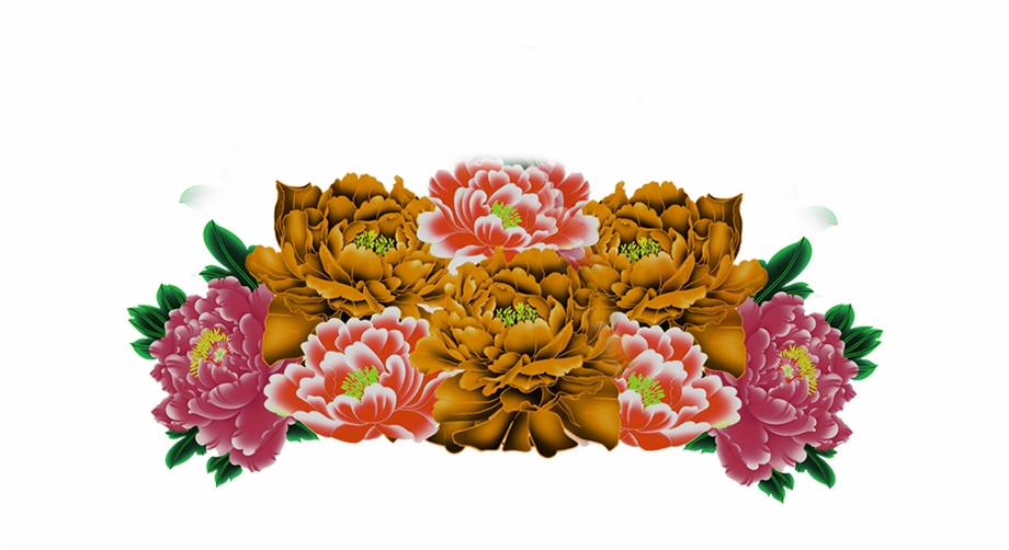 transparent background flowers real png
