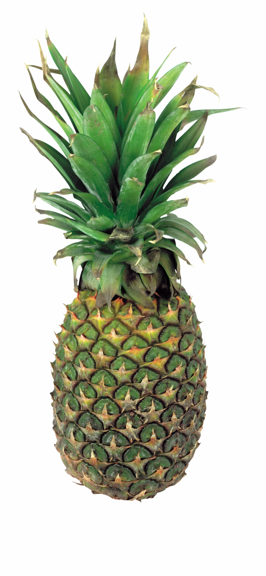 green pineapple png

