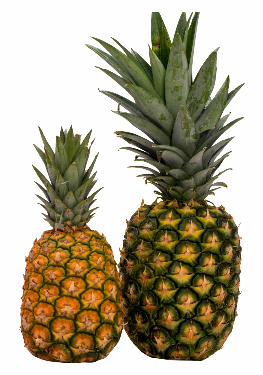 real pineapple clipart
