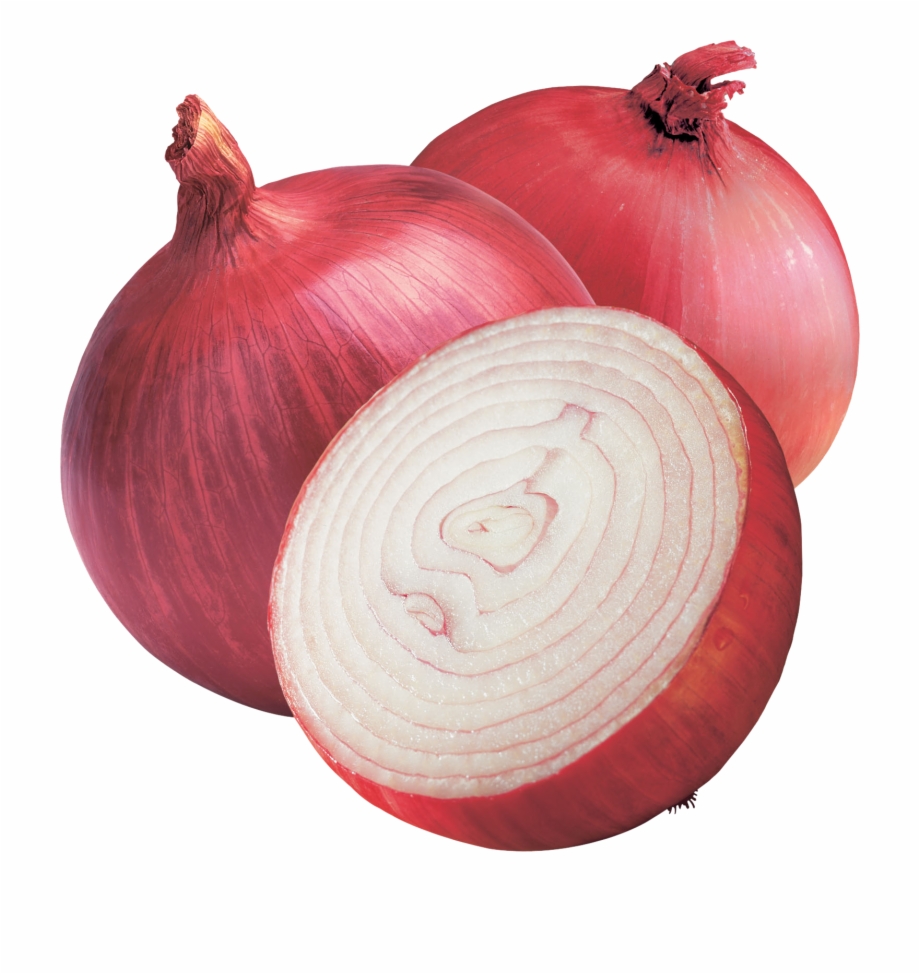 Onion Png Image Transparent Background Onion Png