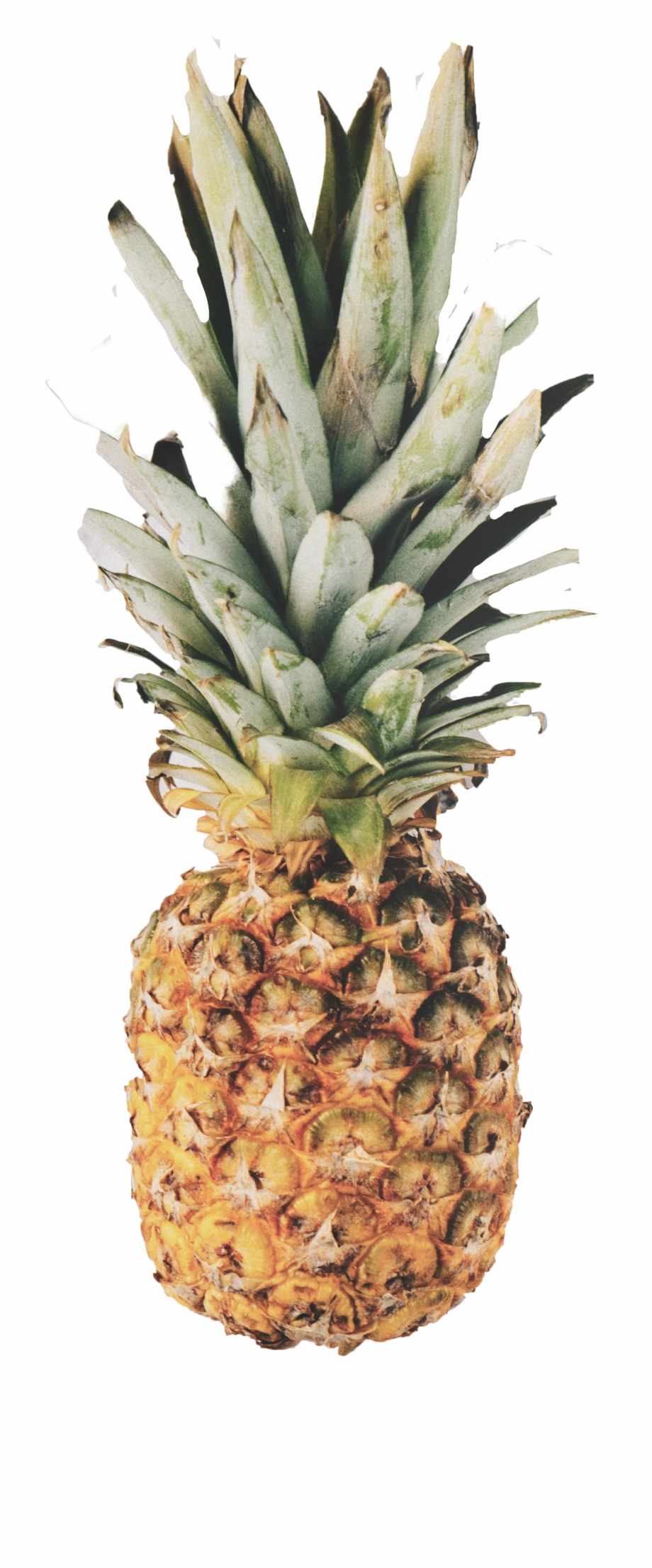 marble pineapple
