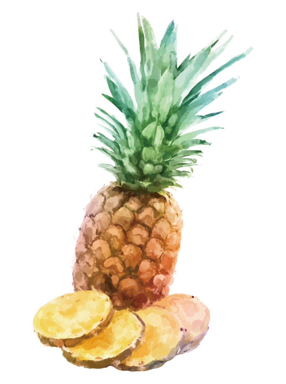 Fresh Pineapple Slices Watercolor Painting