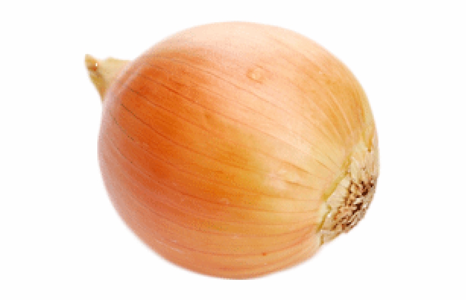 Onion Png Free Download Red Onion No Background