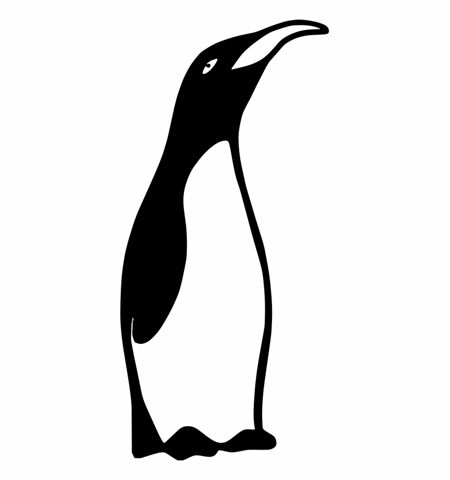 Add Favorite Black And White Clipart Penguin