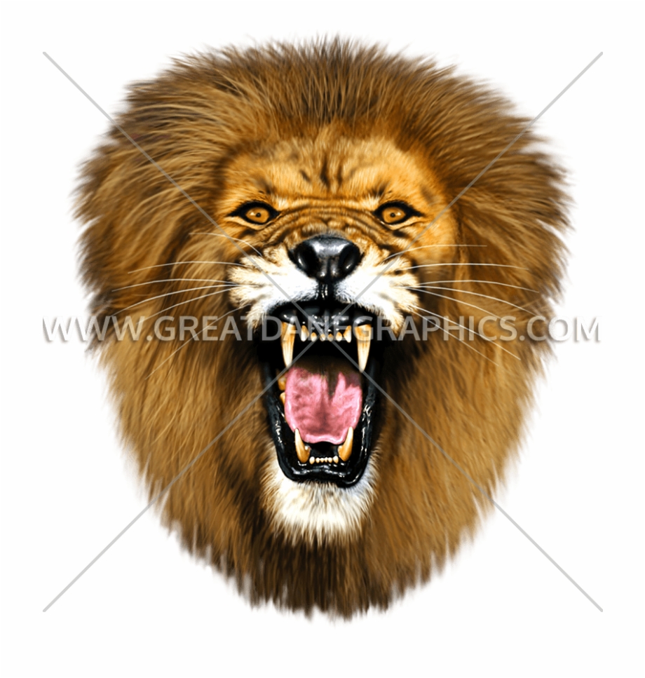 Roaring Lion Head Png Lion Face Png Roar