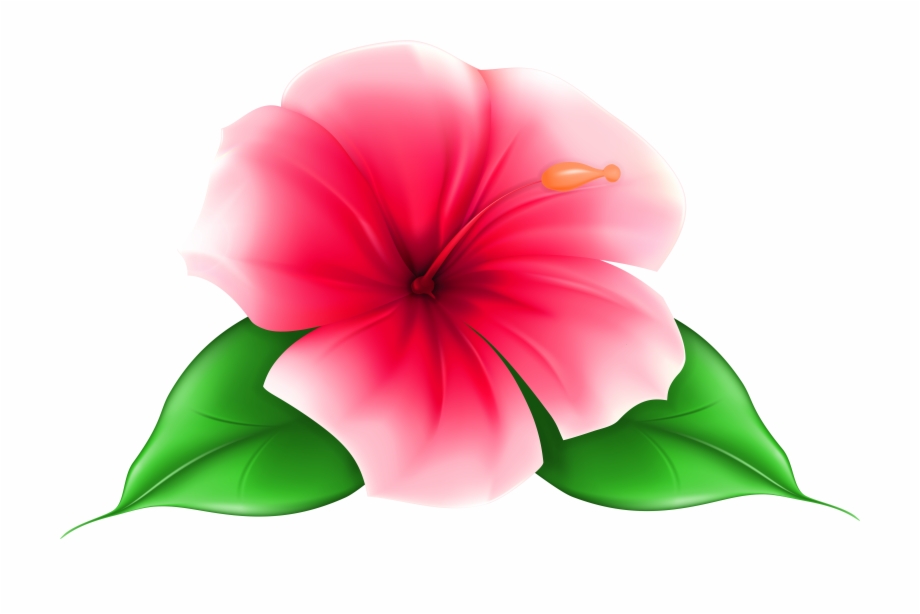 Exotic Flower Png Clip Art Image Transparent Transparent
