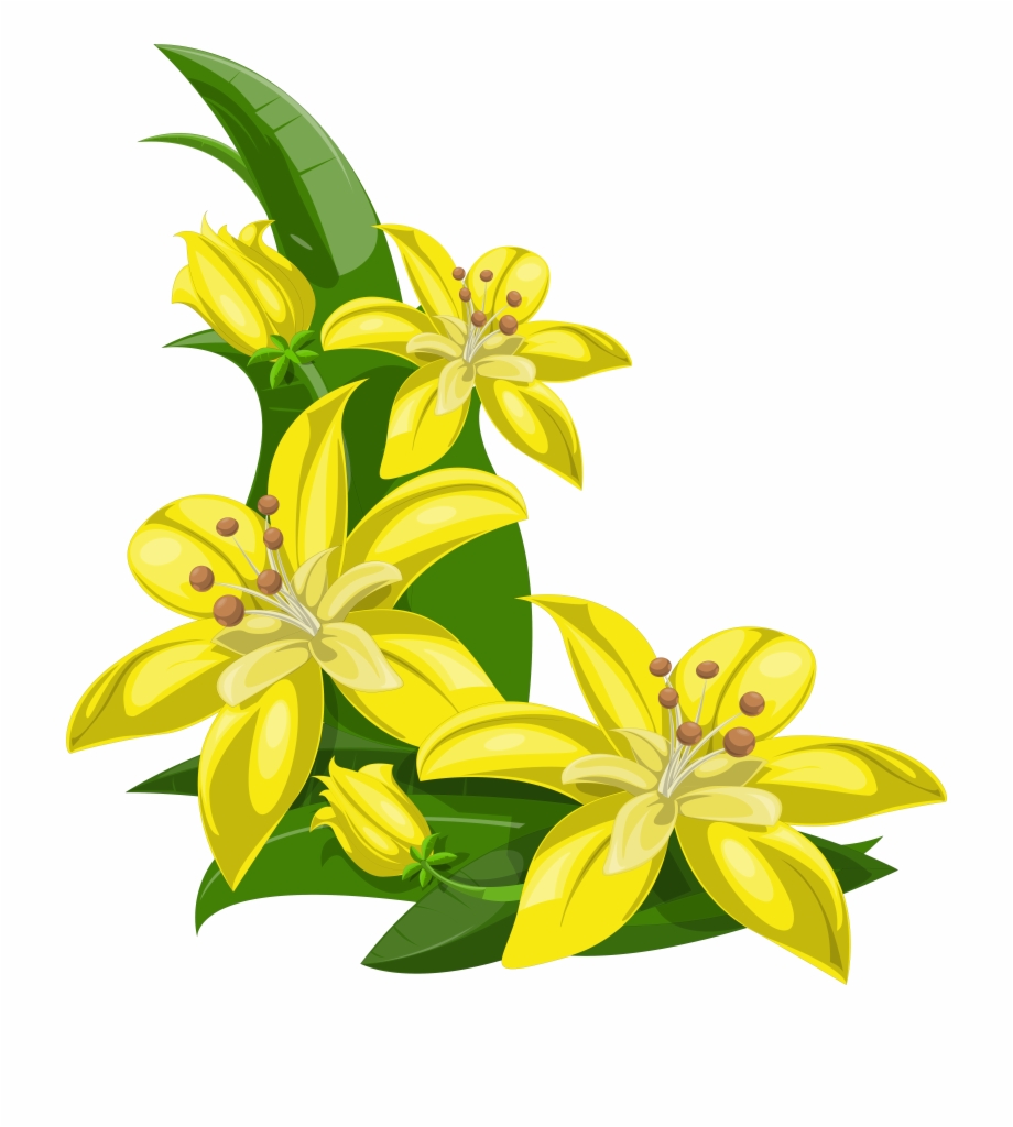 Lily Flowers Clipart At Getdrawings Yellow Green Flower