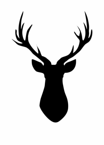 deer head drawing easy
