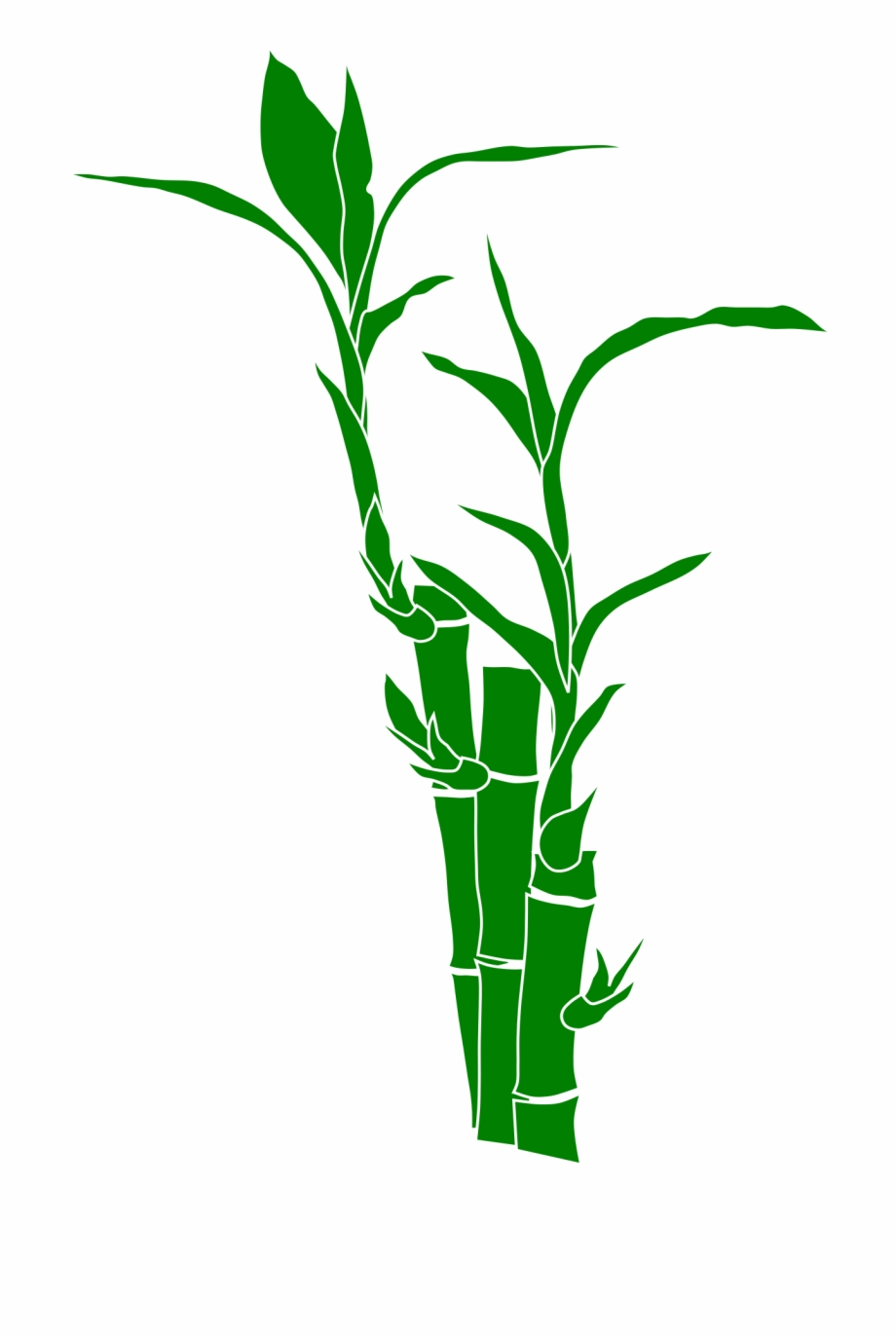Download And Use Bamboo Png Clipart Clip Art