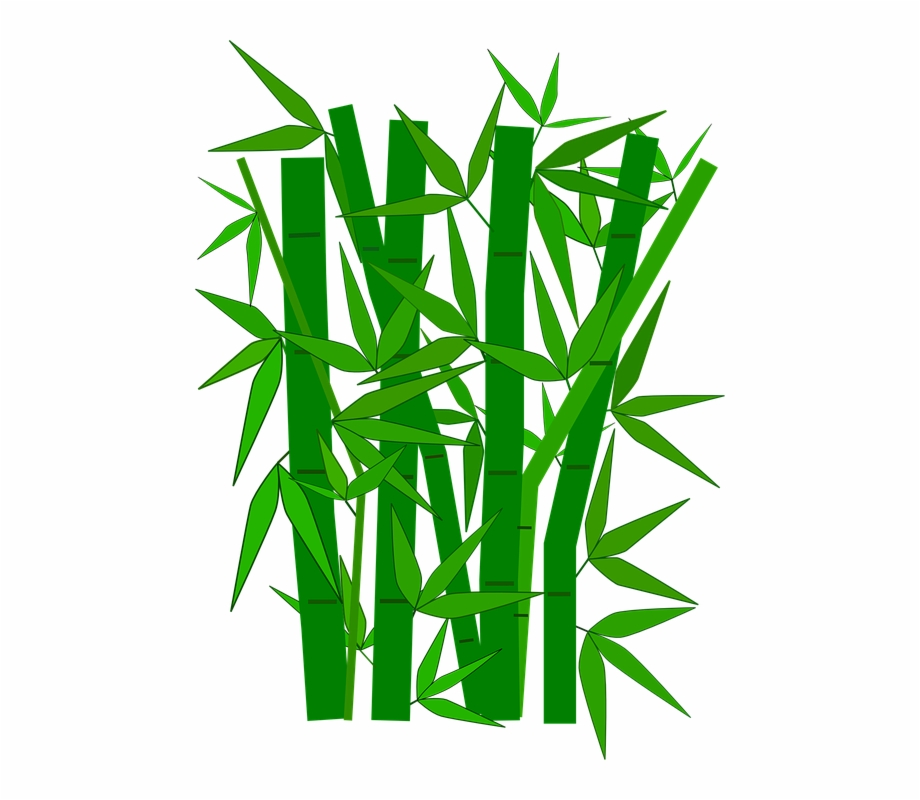 Png Free Images Only Transparent Background Bamboo Clipart