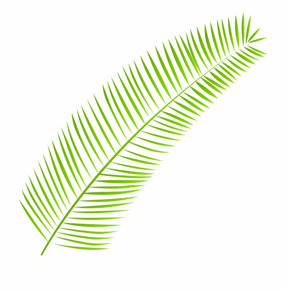 Palm Leaf Png Clip Art