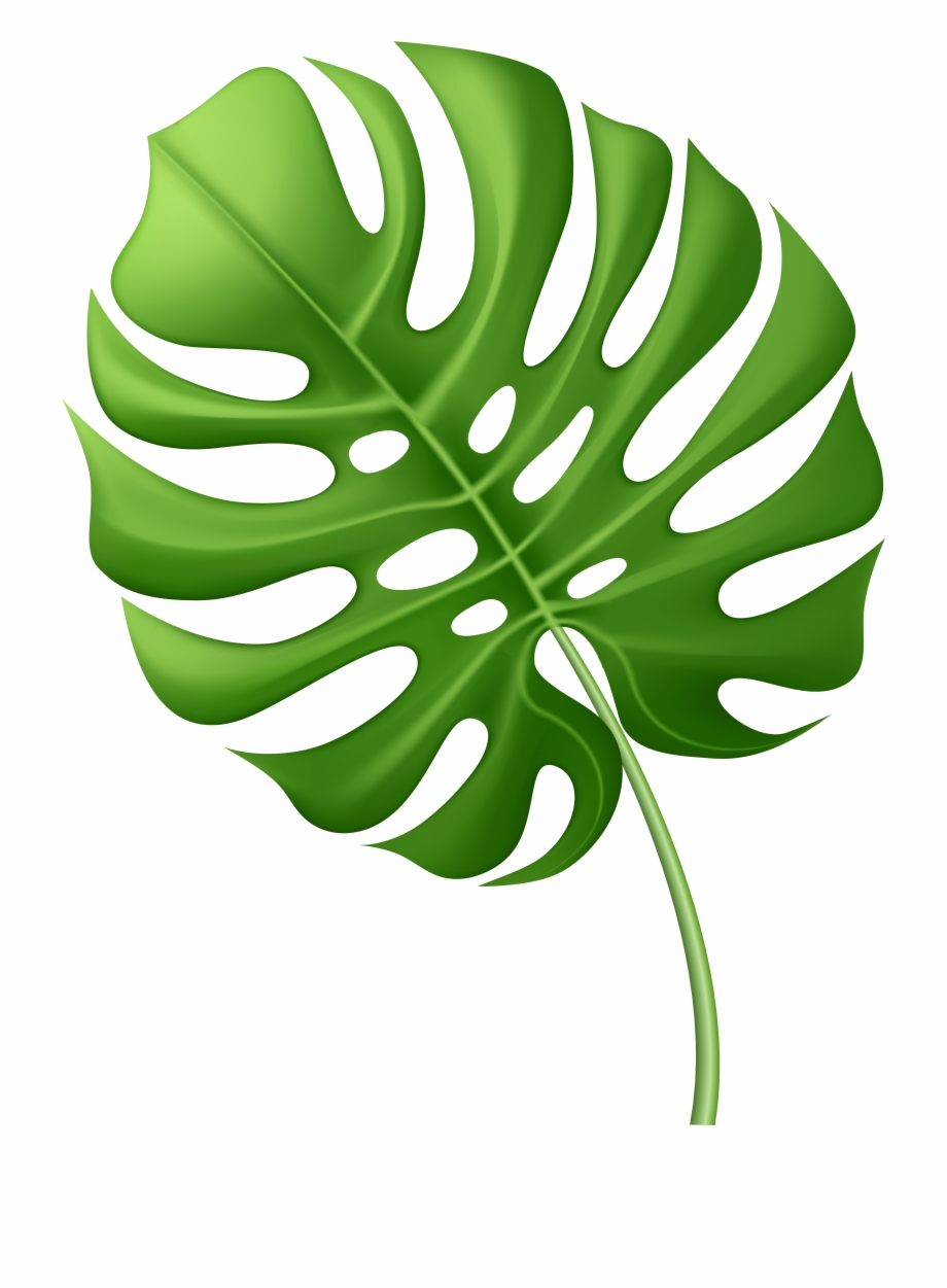 Free Palm Leaf Transparent, Download Free Palm Leaf Transparent png images,  Free ClipArts on Clipart Library