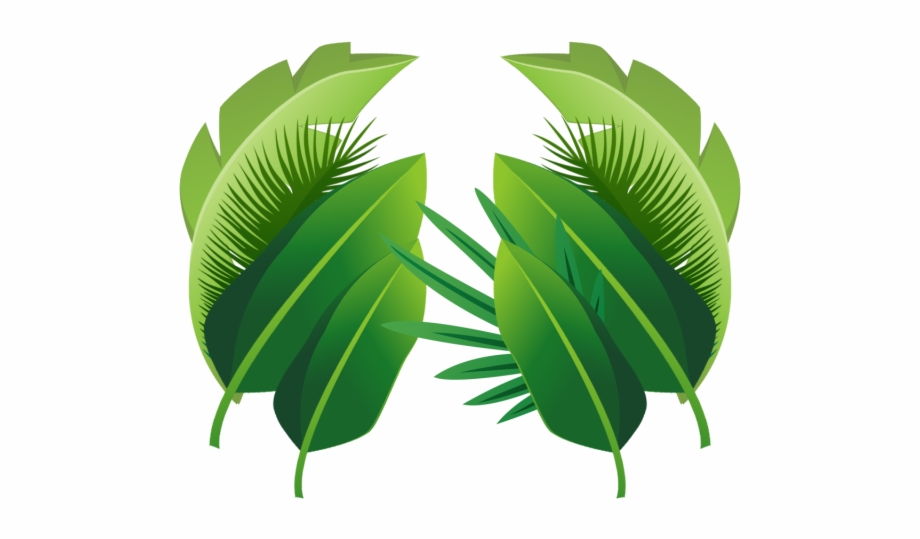 transparent background palm tree leaf
