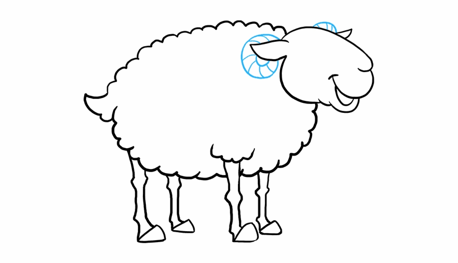 Scroll Easy Drawings Draw Sheep