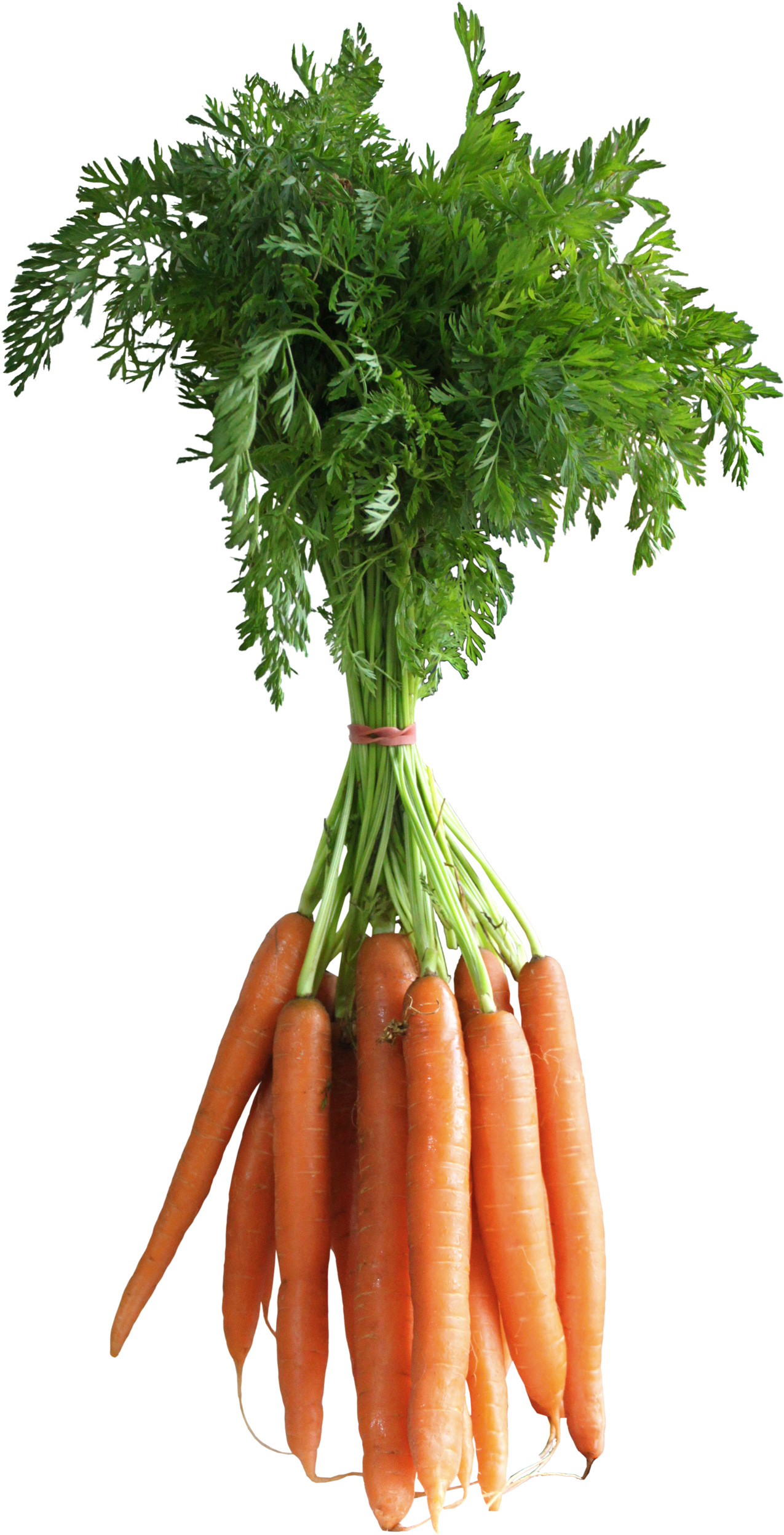 Download Carrot Png Picture Carrot Png