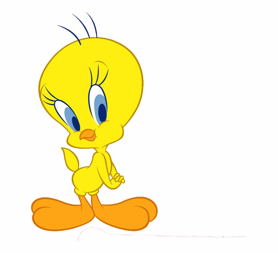 Png Tweety Bird Cartoon Drawing Images With Colour - Clip Art Library