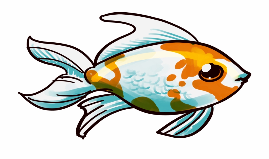Png Black And White Download Clipart Beautiful Fish