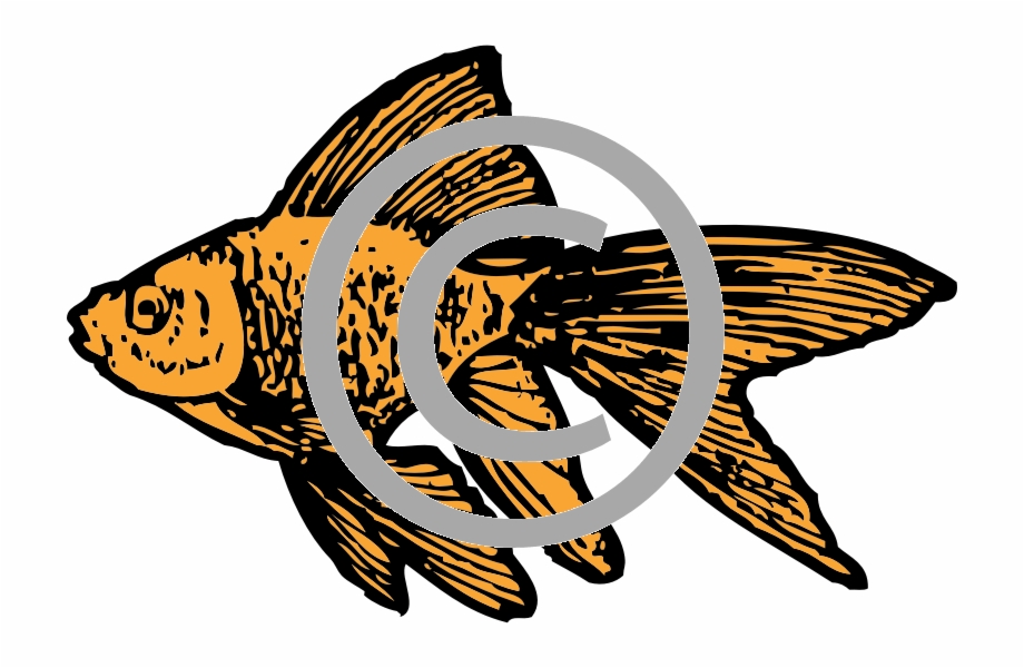 Goldfish Png Goldfish Clip Art