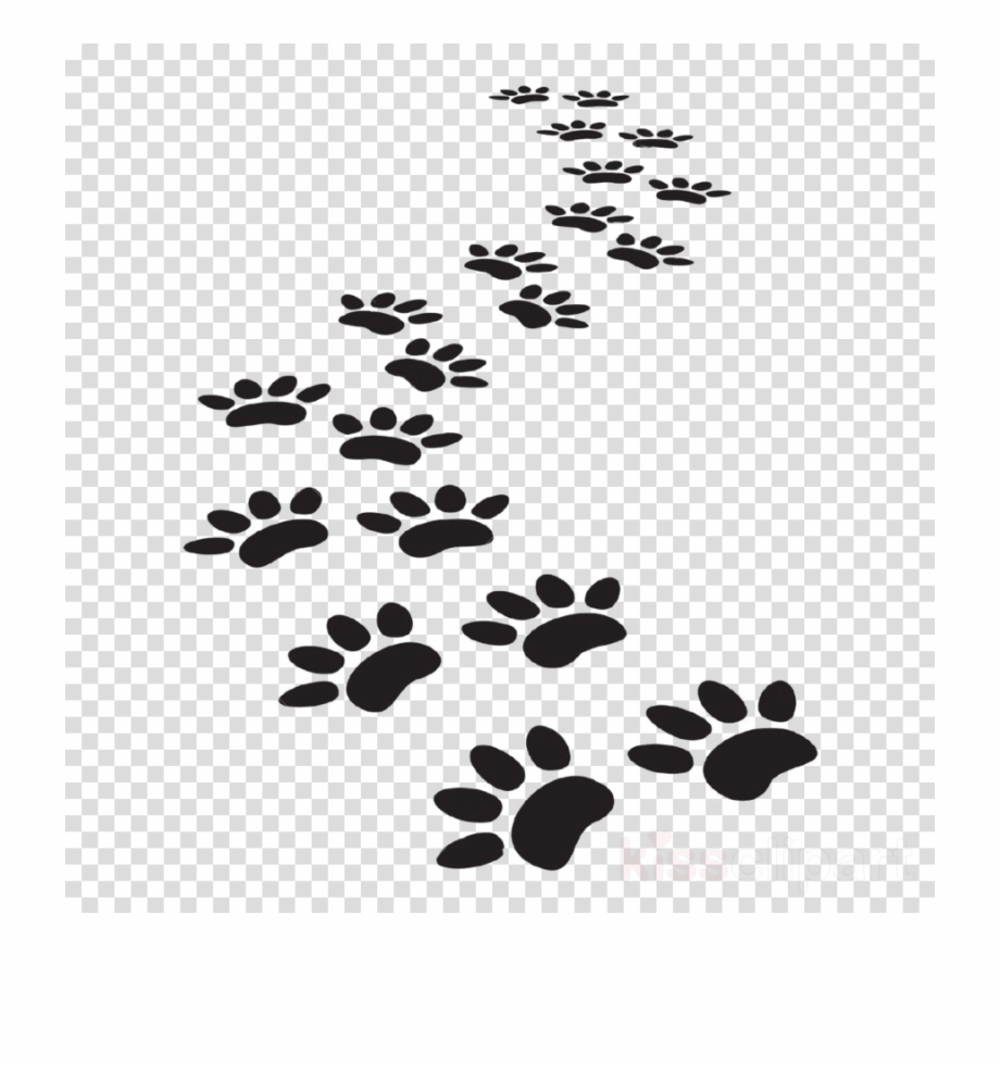 Vector Dog Paw Prints Clipart Dog Cat Tiger