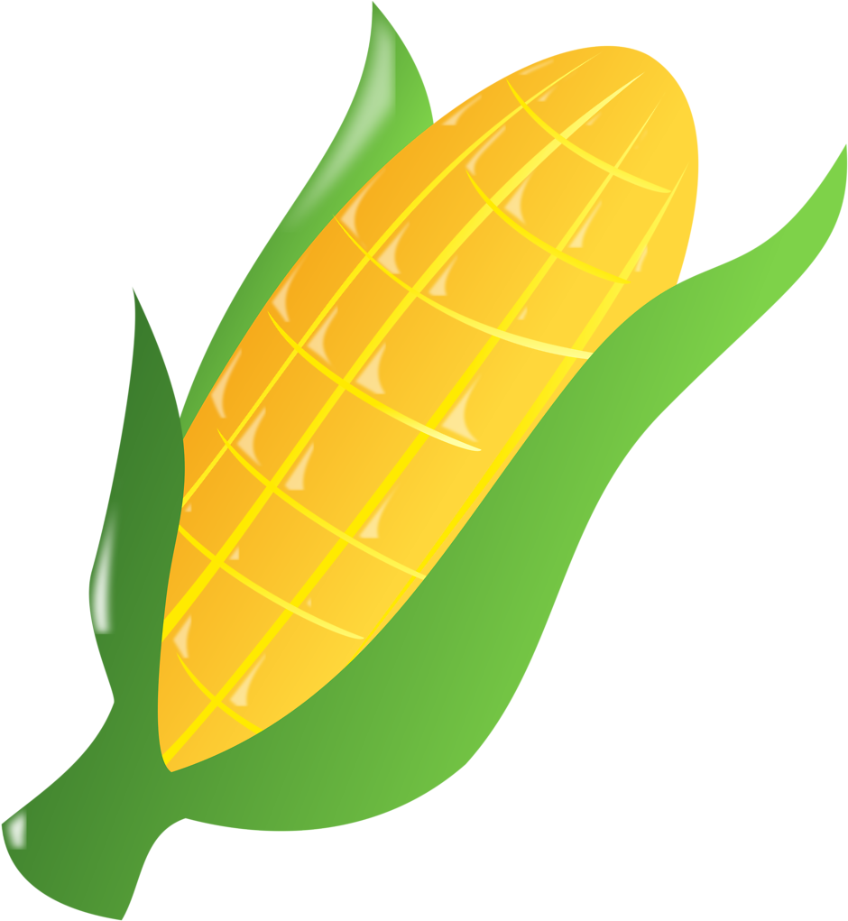 Corn Clipart Easy Draw Ear Of Corn Clipart