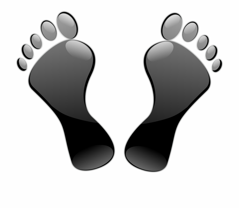 Dog Paw Print Vector Shop Of Library Black