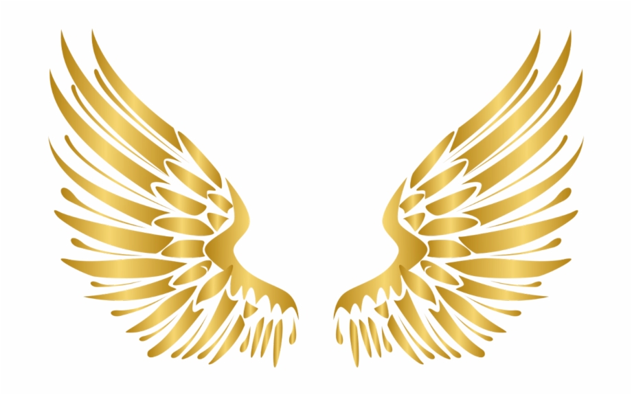 Wings Gold Wing Angel Angels Angelwings Angelwing Golde