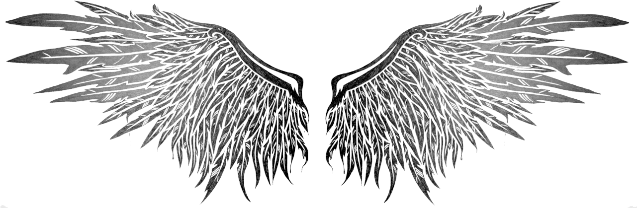 realistic angel wings drawing
