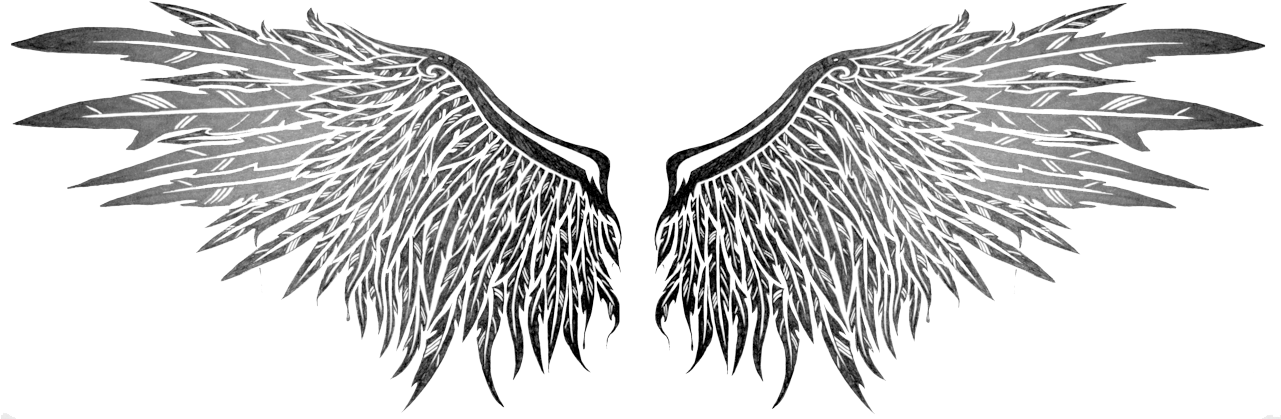 Angel Wings For Free On Roblox