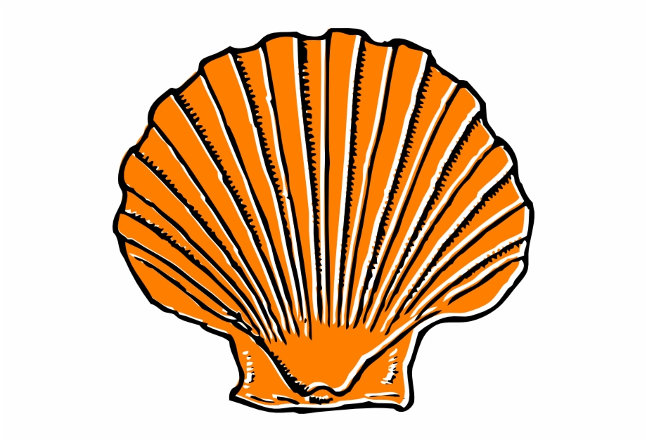 Small Clipart Sea Shell