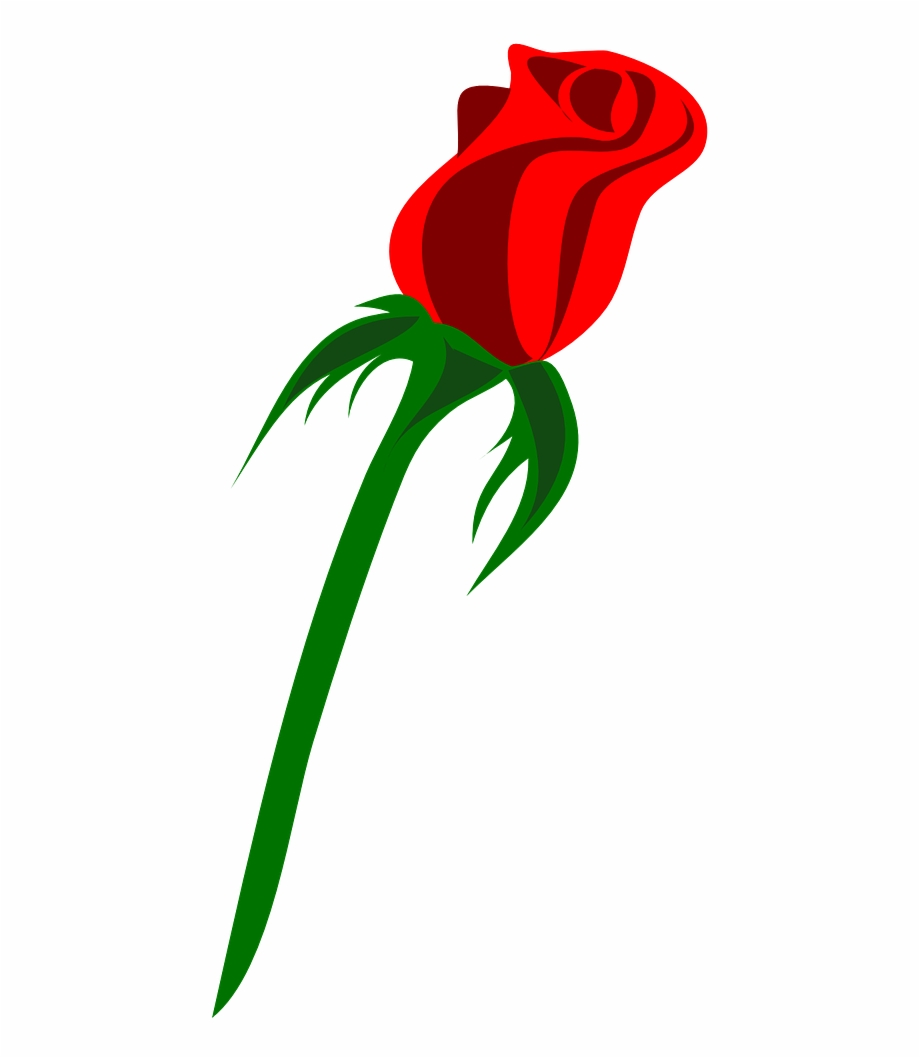 Rose Single Bud Love Red Png Image Rose
