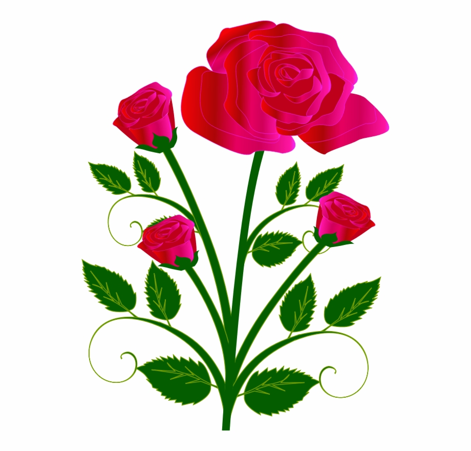 Image Library Clip Art Roses With Thorns And
