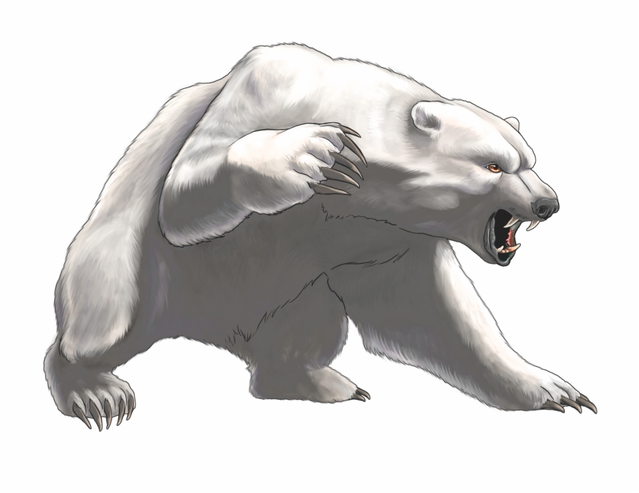 Polar Bear Art Png