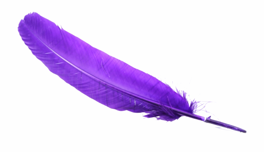Feather Hd Png Images Pluspng Transparent Background