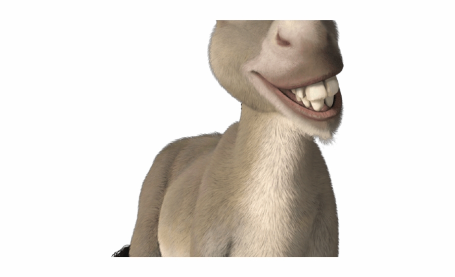 Donkey Clipart Shrek Donkey Donkey From Shrek