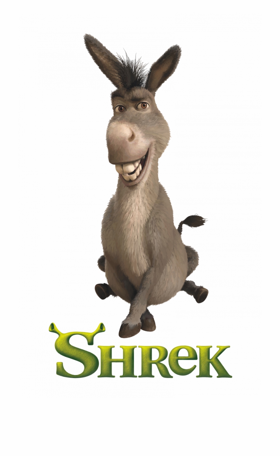 Donkey Shrek Donkey From Shrek Name