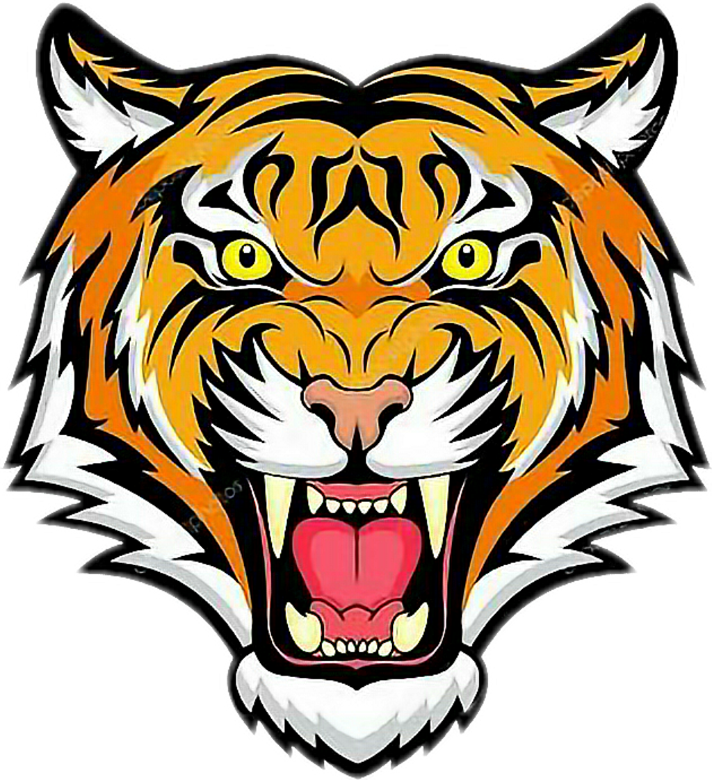 Clipart Tiger Roaring Tiger Face Colour Drawing