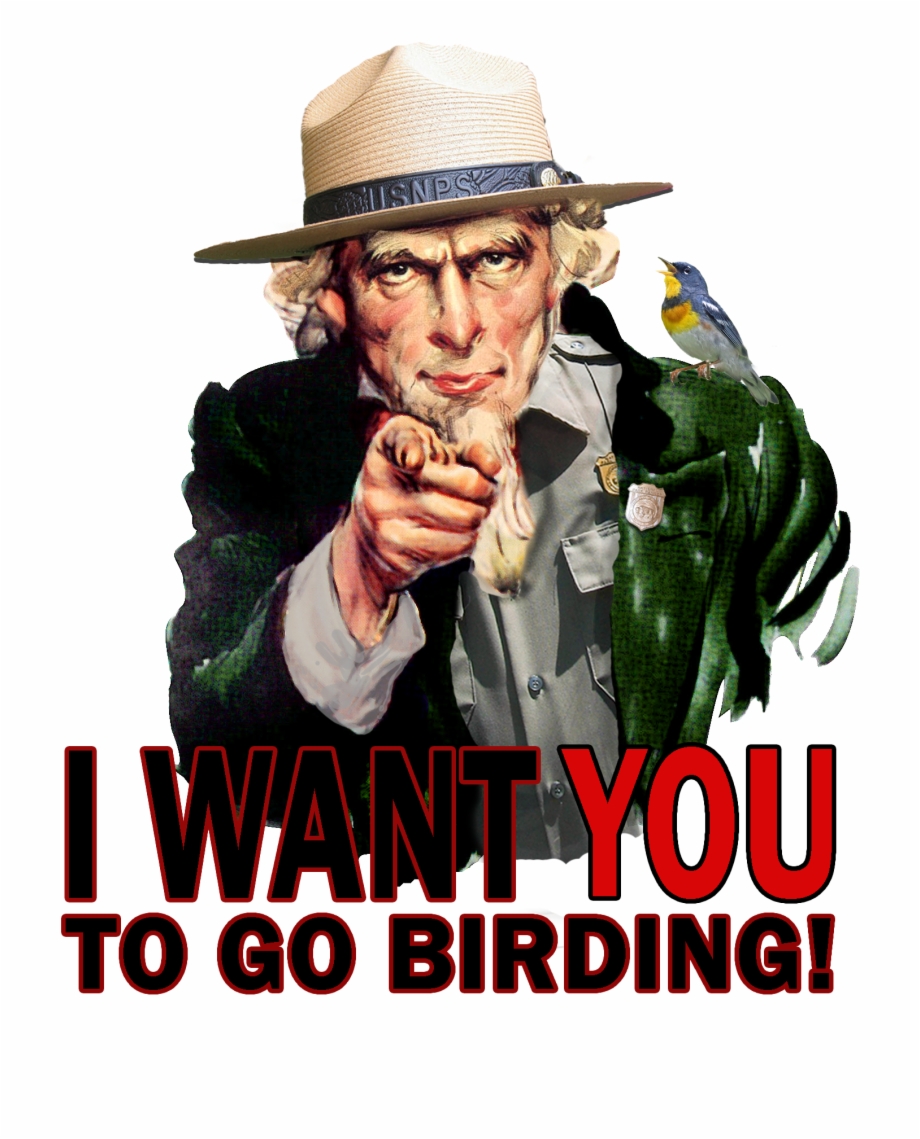 Breeding Landbird Volunteer Opportunities Uncle Sam