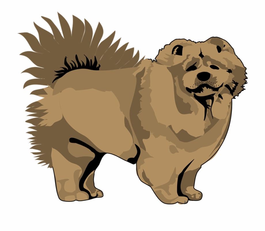 Pet Clipart Animal Fur Chow Chow Vector Png