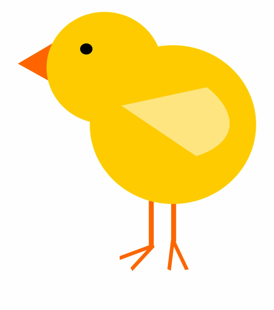 chick clipart png
